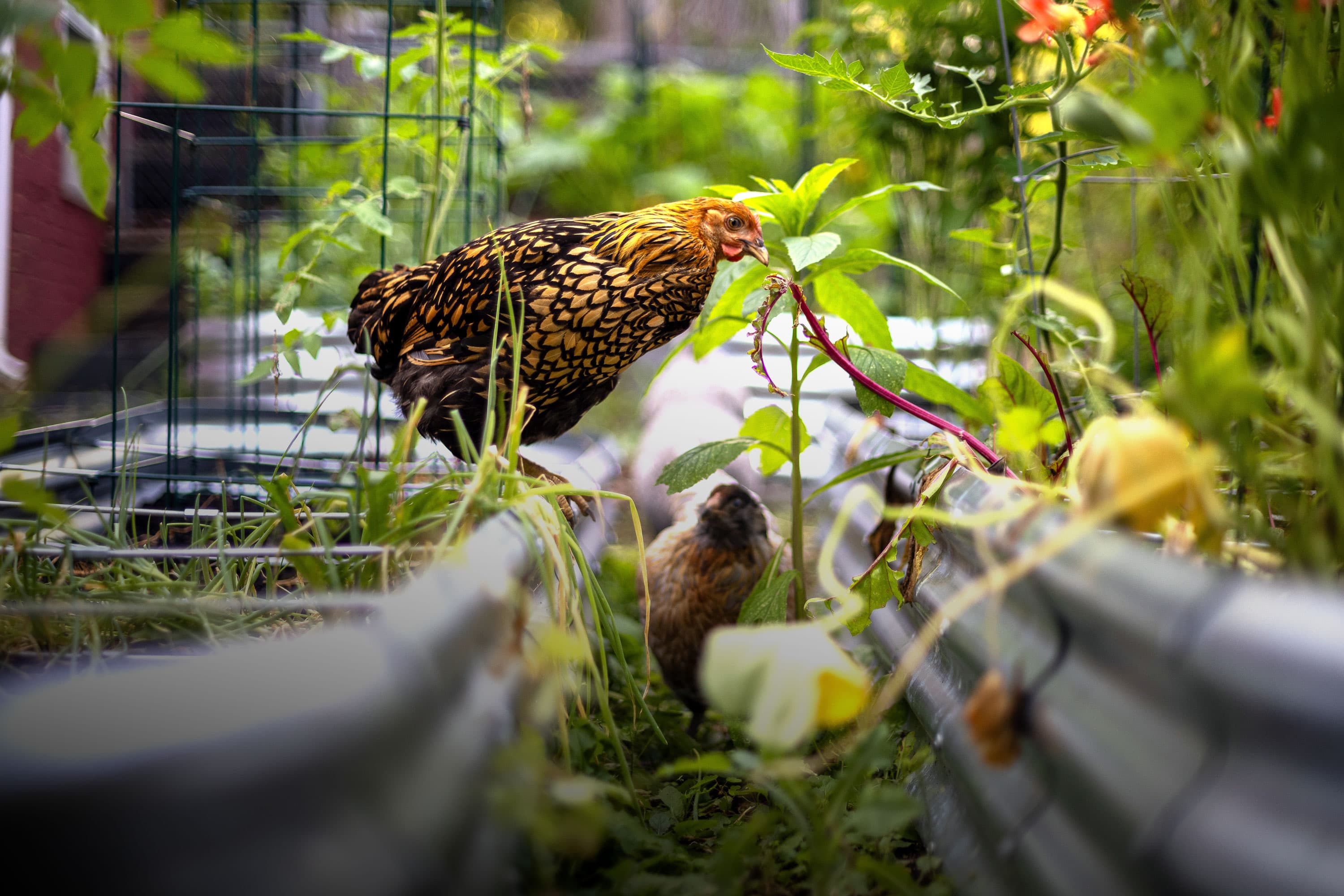 Jayme Anderson - The Manor on Banner